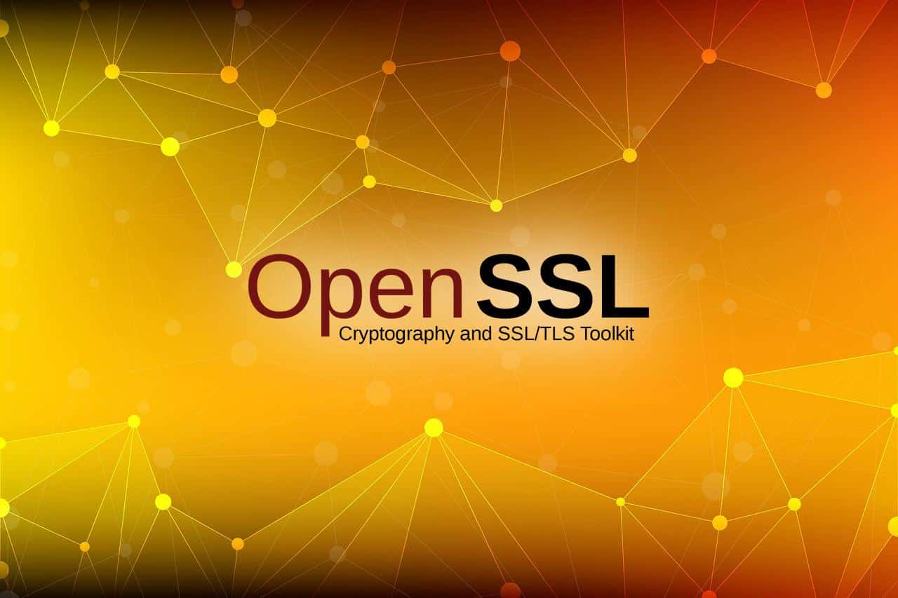 Incoming OpenSSL critical fix: Organizations, users, get ready!