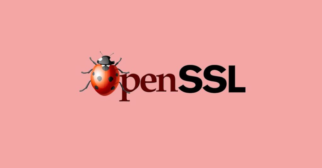 OpenSSL fixes High Severity data-stealing bug – patch now!